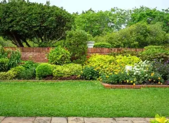 landscaping services Montegut